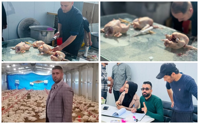 كلية الزراعة تبيع من ...