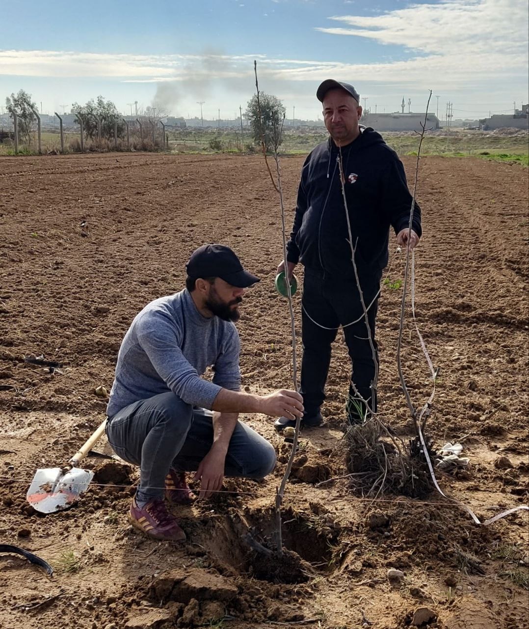 standard orchards1 1