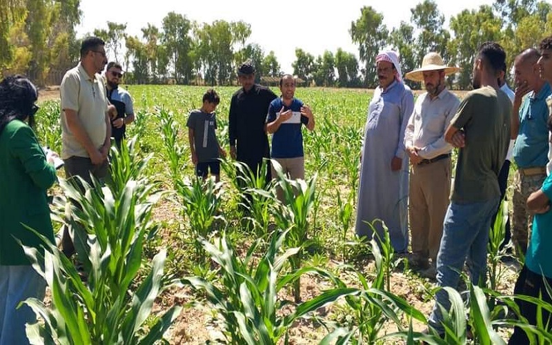 تدريسي بكلية الزراعة يحاضر ...