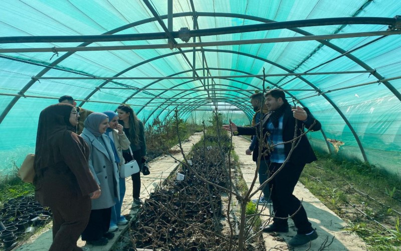 Field Trip 2