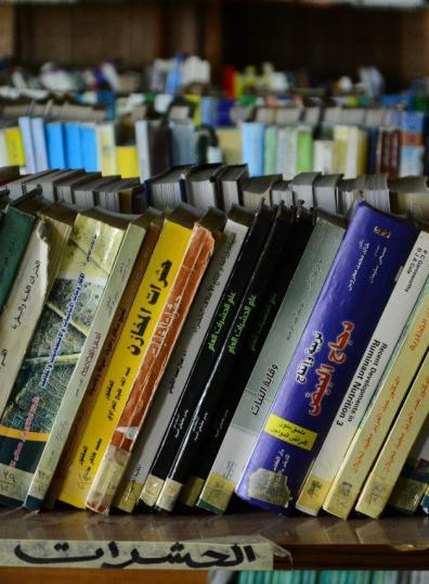 المكتبة